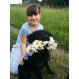 Собака - 11.jpg